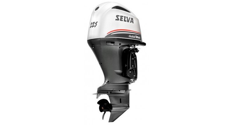 SELVA Beaked Whale E.F.I. 225 E.DW.XL.PT.